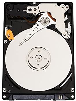 yÁzygpzWestern Digital 250 GB Scorpio Blue SATA 5400 RPM 8 MB Cache Bulk/OEM Notebook Hard Drive WD2500BEVS [sAi]