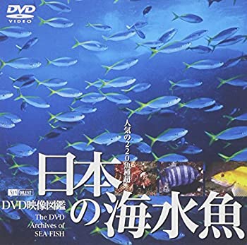 【中古】【未使用】シンフォレストDVD 日本の海水魚 DVD映像図鑑