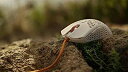 【中古】【未使用】Finalmouse Ultralight 2 - Cape Town ゲーミングマウス 1