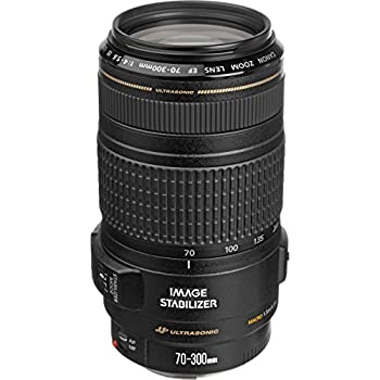 【中古】Canon EFレンズ EF70-300mm F4-5.6 IS USM ズームレンズ 望遠 再生品【並行輸入品】 【中古】Canon EFレンズ EF70-300mm F4-5.6 IS USM ズームレンズ 望遠 再生品【並行輸入品】