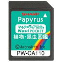 【中古】シャープ コンテンツカード 植物・昆虫図鑑カード PW-CA110 (PW-J5000対応)【メーカー名】シャープ(SHARP)【メーカー型番】PW-CA110【ブランド名】シャープ(SHARP)【商品説明】シャープ コンテンツカード 植物・昆虫図鑑カード PW-CA110 (PW-J5000対応)映像商品などにimportと記載のある商品に関してはご使用中の機種では使用できないこともございますので予めご確認の上お買い求めください。 付属品については商品タイトルに記載がない場合がありますので、ご不明な場合はメッセージにてお問い合わせください。 画像はイメージ写真ですので画像の通りではないこともございます。また、中古品の場合、中古という特性上、使用に影響の無い程度の使用感、経年劣化、キズや汚れがある場合がございますのでご了承の上お買い求めくださいませ。ビデオデッキ、各プレーヤーなどリモコンなど付属してない場合もございます。 中古品は商品名に『初回』『限定』『○○付き』等の記載があっても付属品、特典、ダウンロードコードなどは無い場合もございます。 中古品の場合、基本的に説明書・外箱・ドライバーインストール用のCD-ROMはついておりません。 当店では初期不良に限り、商品到着から7日間は返品を受付けております。 ご注文からお届けまで ご注文⇒ご注文は24時間受け付けております。 注文確認⇒当店より注文確認メールを送信いたします。 入金確認⇒決済の承認が完了した翌日より、お届けまで3営業日〜10営業日前後とお考え下さい。 ※在庫切れの場合はご連絡させて頂きます。 出荷⇒配送準備が整い次第、出荷致します。配送業者、追跡番号等の詳細をメール送信致します。 ※離島、北海道、九州、沖縄は遅れる場合がございます。予めご了承下さい。 ※ご注文後、当店より確認のメールをする場合がございます。期日までにご返信が無い場合キャンセルとなりますので予めご了承くださいませ。 ※当店ではお客様とのやりとりを正確に記録する為、電話での対応はしておりません。メッセージにてご連絡くださいませ。