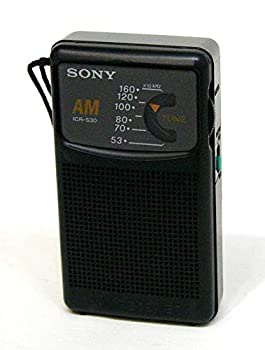 šSONY ˡ ICR-S30 ֥å AMϥǥݡ֥饸