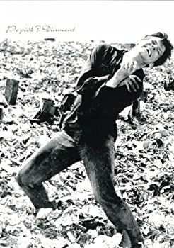 【中古】灰とダイヤモンド [DVD]