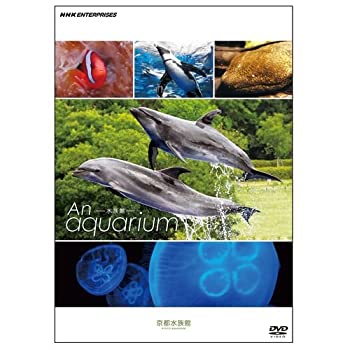 【中古】An Aquarium−水族館 〜京都水族館〜　DVD【NHKスクエア限定商品】
