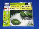 【中古】テイチクDVDカラオケ 音多Station