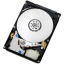 【中古】レノボ・ジャパン旧IBM 4TB 7200rpm 6Gbps NL SATA 3.5型 Gen2 SS HDD 49Y6012