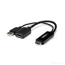 【中古】StarTech.com HDMI - DisplayPort変換アダプタ 4K/30Hz HDMI - ディスプレイポートビデオコンバーター USBバ...