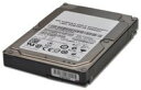 【中古】42D0788 Ibm 2Tb 7200Rpm 3.5-Inch Sata Simple Swap Hard Drive