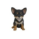 【中古】Hi-Line Gift Ltd. チワワ子犬像 庭に ブラック 87771-W