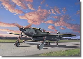 【中古】ドラゴン 1/48 第二次世界大戦 ドイツ空軍 フォッケウルフ FW190A-5/U14 雷撃機 プラモデル DR5569