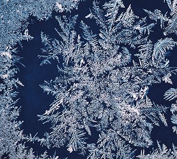 【中古】THA BLUE HERB