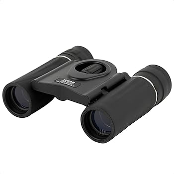 【中古】MIZARミザールテック 双眼鏡 10倍 21mm 口径 ダハプリズム式 コンパクト ブラック BD-10C