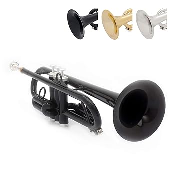 【中古】pInstruments ピーインストゥルメンツ プラスチック製管楽器 トランペット pTrumpet hyTech Bb調 軽量&高耐久ABS製 バイ...