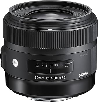 【中古】シグマSigma SIGMA シグマ Nikon Fマウント マウントレンズ 30mm F1.4 DC HSM 単焦点 標準 APS-C Art一眼レフ専用