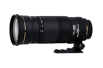 楽天市場】シグマ 120-300mm F2.8 DG OS HSM ニコン 中古の通販 楽天市場】シグマ 120-300mm F2.8 DG OS HSM ニコン 中古の通販