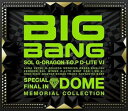 【中古】SPECIAL FINAL IN DOME MEMORIAL COLLECTION ミニAL