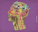 【中古】scent of memory 初回限定盤2CD+DVD