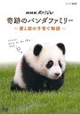 【中古】NHKスペシャル 奇跡のパンダファミリー ~愛と涙の子育て物語~ DVD