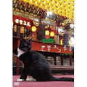 【中古】岩合光昭の世界ネコ歩き 台湾NHKスクエア限定商品