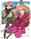 【中古】魔法先生ネギま! OAD Blu-ray BOX期間限定版Blu-ray Disc