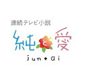 【中古】連続テレビ小説 純と愛 総集編 DVD