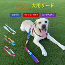 【期間限定半額】リード ペット用 犬用 トレニンーグ用 リード 抜けない 柔らかい 痛くない 多機能 お散歩 大型犬 中型犬 便利 おしゃれ 伸縮性 クッションバンド 衝撃吸収 引っ張り 緩和 防止 高級 亜鉛合金フック 頑丈 ブランド