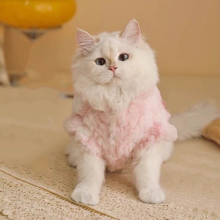 アトリエ楽天市場店の猫服 フェイクファー もこもこ コート 可愛い 冬服 猫 防寒着 犬服 ドッグウェア 裏ボア ペット服 ベスト おしゃれ キャットウェア お出 暖かい フェイクラビットファー 脱毛保護｜アングル2
