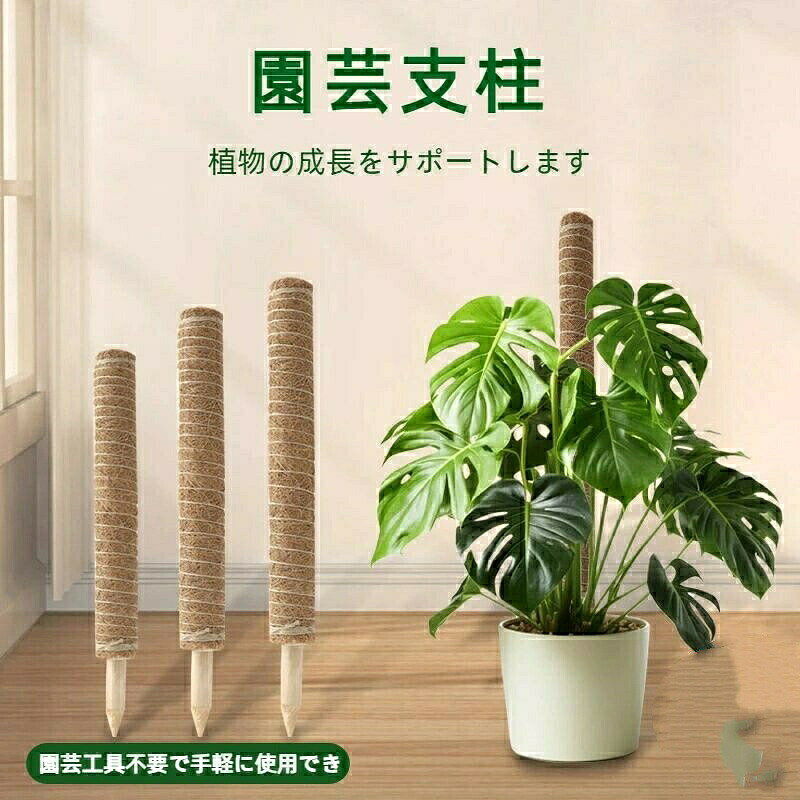 メーカー希望小売価格はメーカーカタログに基づいて掲載しています【安定した植物サポート】安定性に優れ、植物の成長をサポートします; ヘゴ支柱としてモンステラやポトスに最適です; 頑丈な構造で植物を傷つけません、モンステラ用のモスポールやつる植物用の支柱に最適です、このモンステラ 支柱セット植物ホルダースティック、ジュートロープ、緑色のベルクロが付属し、サポート力を高め、簡単に設置できます。【便利な付属品セット】園芸工具不要で手軽に使用できます。【柔軟なDIYデザイン】このモンステラ 支柱セット自由に曲げたり形作ったりできる柔軟性があります; 観葉植物 支柱として様々な形状に対応可能; モンステラ支柱家庭でのDIYガーデニングにぴったりです、屋内植物のつる植物用のモススティックとモンステラ用植物支柱は、植物が背が高く強く成長するように導きます。【幅広い植物に対応】モンステラ 支柱としてだけでなく、つる性植物や観葉植物全般に使用可能; ポトスタワー支柱としても活用できます; 室内外問わず利用可能です【ナチュラルな素材感】このモンステラ 支柱椰棕棒は自然な風合いで植物との調和が取れます; 園芸用支柱として庭やインテリアに溶け込むデザイン; モンステラ支柱植物の成長を優しく導きます、高品質の構造長くお使いいただけます。園芸支柱 モンステラ 支柱 ココナッツ 30cm+40cm 50cm+60cm 30cm 40cm 50cm 60cm