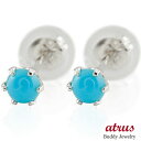 ピアス プラチナ トルコピアス ターコイズピアス スタッドピアス プラチナ 最短納期 送料無料 ユニセックス 男女兼用 12月 誕生石 人気 普段使い