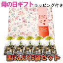 黒にんにく 190g フデばあさんの 親孝行 お徳用 5袋セット ラッピング付き