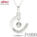 馬蹄 プラチナ ネックレス ダイヤモンド 金属アレルギー 対応 ペンダントトップ シンプル ダイヤ 揺れる 0.05ct ホースシュー 干支 午年 縁起物 pt...