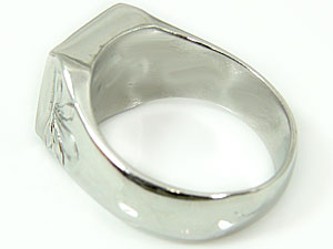 �ϥ磻���󥸥奨�꡼ �ԥ󥭡���� ���� �ץ���� ��� �ץ��ꥢ �� �ޥ��� �� �϶� pt900 ���ȥ졼��