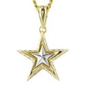 ネックレス メンズ 18金 ペンダントトップ 18k コンビ 喜平用 キュービックジルコニア 星 スター イエローゴールドk18 pt900 喜平 人気 男性 ...