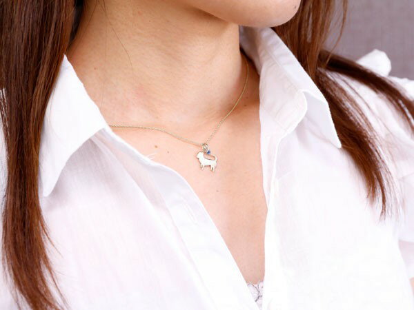 大特価 プラチナ ネックレス メンズ 犬 ネックレス タンザナイト 一粒 ペンダント トップ チワワ いぬ イヌ 犬モチーフ 12月誕生石 チェーン 人気 男性用 宝石 の 送料無料 他店圧倒価格 最安値に挑戦 Robisz To