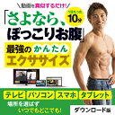 動画を真似するだけのかんたん エクササイズ ! さよなら、ぽっこりお腹|ダウンロード版 正月太り 解消 かんたん 筋トレ 宅トレ ダイエット くびれ お腹 お腹痩せ