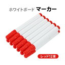送料無料 ホワイトボード マーカー レッド 12本 1ダース 油性 油性インク ホワイトボードマーカー ホワイトボード用 ペン 丸芯 細字 中字 軽量 コンパク...