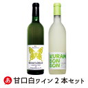 日本ワイン セット【甘口・白ワイン 2本セット】 送料無料 甘口 白ワイン 甲州ワイン 国産 山梨ワイン 奥野田 くらむぼん 女子会 フルーティー 花見