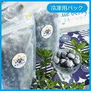 《 高級 大粒 冷凍ブルーベリー 送料無料 》【 無添加 冷凍】 国産 千葉県産 blueberry オーガニック ブルーマジック