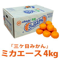 【三ヶ日みかん ミカエース 青島みかん 贈り物 】送料無料 お歳暮 静岡県産高級三ヶ日みかん ミカエース 青島 Lサイズ 4kg 温州みかん 蜜柑 ミカン みかん ※箱のデザインが変わる場合があります。(特選箱)