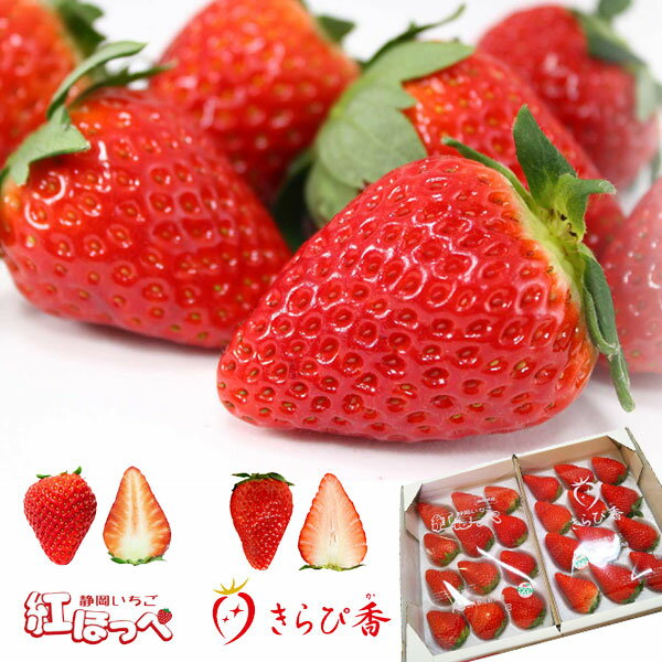 ［静岡いちご食べ比べ 送料無料］【紅ほっぺ・きらぴ香 各9粒～15粒入り（450g×2パック）】イチゴ 贈答品 ギフト お取り寄せグルメ べにほっぺ きらぴかのサムネイル