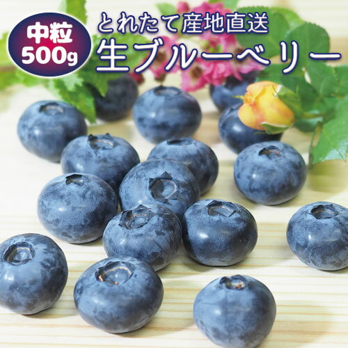 《高級 中粒 生ブルーベリー 送料無料》【完熟 甘い生ブルーベリー 無添加 品種MIX450g（1箱4P入）】国産 千葉県産《数量限定 クール便》贈り物 贈答品 ギフト 産地直送 詰め合わせ フルーツ 果物 青果 有機 養液栽培 blueberry オーガニック ブルーマジック 豊岡