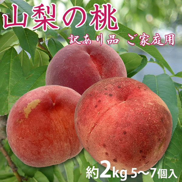 【訳あり 桃】［ 美味しい山梨のもも］【訳あり品 ご家庭用 約2kg (5個～7個) 】［送料無料  ...