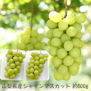 山梨県産【 シャインマスカット】【葡萄 送料無料】 山梨県産 2パック入り 約800g 高級ぶどう 2f房
