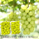 山梨県産【粒売り シャインマスカット】【葡萄 送料無料】 山梨県産 2パック入り 1kg以上 高級ぶどう 種なし 皮ごと食べられる。産地直送