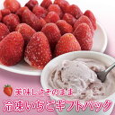 母の日 まだ間に合う アイス いちご スイーツ【 冷凍いちご ギフトパック 】 いちご 国産 ギフト( 冷凍いちご約200g×2パック、 いちごアイス 100m...