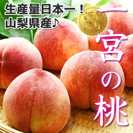 【 山梨県産 一宮の桃 約4kg (10個～12