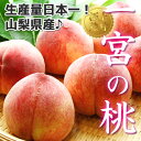 【 山梨県産 一宮の桃 4kg (10個～12個