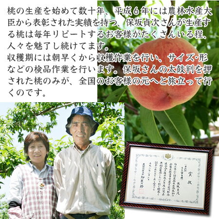 【 山梨県産 一宮の桃 約2kg (5個～7個) 】送料無料 高級もも お中元 ギフト さだピーチファーム 甘い桃 もも モモ やまなしの桃 フルーツ 御中元 贈り物 贈答品 笛吹市一宮町( 日川白鳳 浅間白桃 なつっこ 水蜜 さちあかね 他 ) グルメ 産地直送 ※(クール便) 産地直送 2