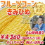 《朝採りスイートコーン とうもろこし 送料無料》フルーツコーンきみひめ(2Lサイズ6本入り×2箱=12本)トウモロコシ/とうもろこし/きみひめ/山梨県産/中道地区/数量限定/期間限定
