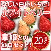 【グルメSHOP-2】 山梨県産いちご(紅白、あかねっ娘)